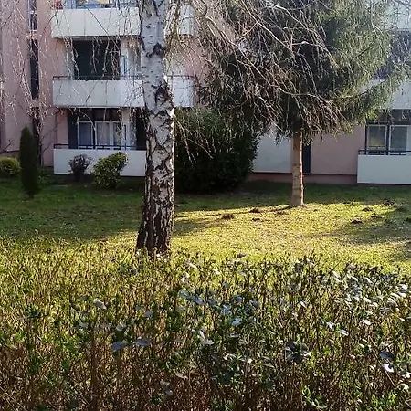 8 Termal Ut Apartment *